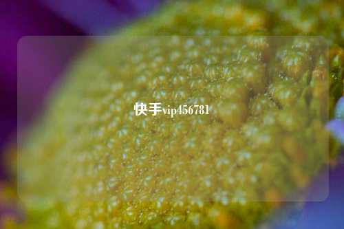 快手vip456781  第1张