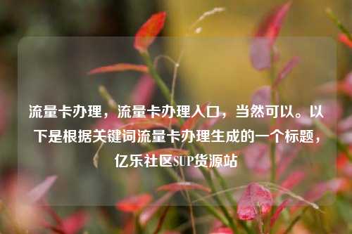 流量卡办理，流量卡办理入口	，当然可以。以下是根据关键词流量卡办理生成的一个标题，亿乐社区SUP货源站  第1张