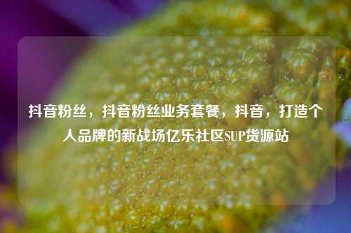 抖音粉丝	，抖音粉丝业务套餐，抖音，打造个人品牌的新战场亿乐社区SUP货源站  第1张