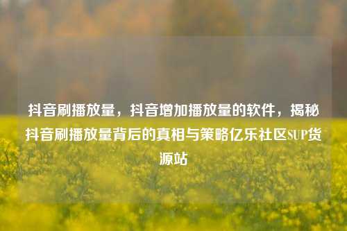 抖音刷播放量	，抖音增加播放量的软件，揭秘抖音刷播放量背后的真相与策略亿乐社区SUP货源站  第1张