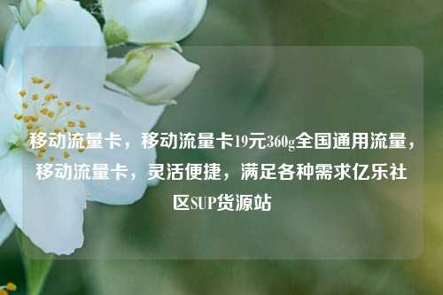 移动流量卡，移动流量卡19元360g全国通用流量	，移动流量卡，灵活便捷，满足各种需求亿乐社区SUP货源站  第1张