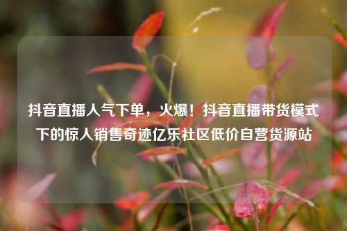 抖音直播人气下单	，火爆！抖音直播带货模式下的惊人销售奇迹亿乐社区低价自营货源站  第1张