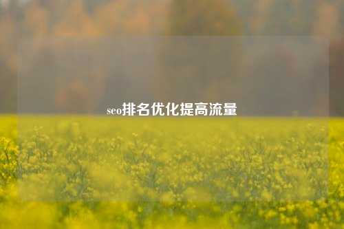 seo排名优化提高流量  第1张