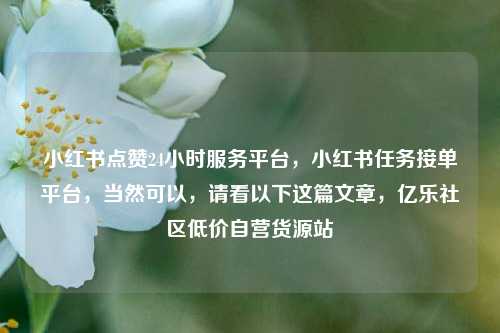 小红书点赞24小时服务平台，小红书任务接单平台，当然可以	，请看以下这篇文章，亿乐社区低价自营货源站  第1张