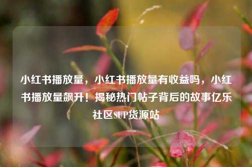 小红书播放量	，小红书播放量有收益吗，小红书播放量飙升！揭秘热门帖子背后的故事亿乐社区SUP货源站  第1张
