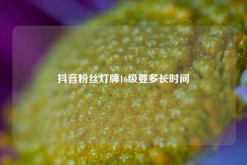 抖音粉丝灯牌16级要多长时间  第1张