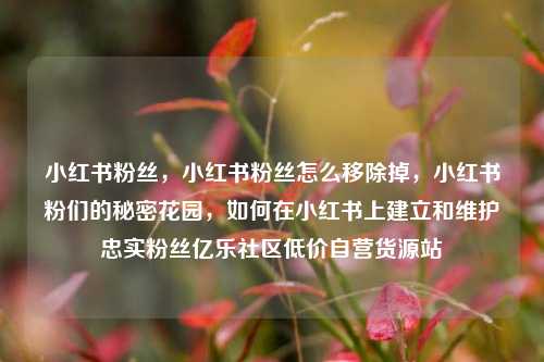 小红书粉丝，小红书粉丝怎么移除掉	，小红书粉们的秘密花园，如何在小红书上建立和维护忠实粉丝亿乐社区低价自营货源站  第1张