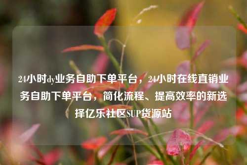 24小时dy业务自助下单平台，24小时在线直销业务自助下单平台	，简化流程	、提高效率的新选择亿乐社区SUP货源站  第1张