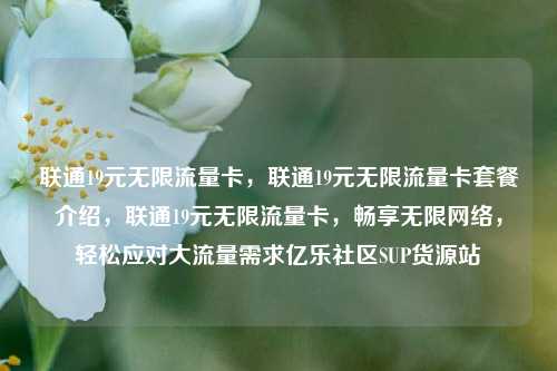联通19元无限流量卡，联通19元无限流量卡套餐介绍	，联通19元无限流量卡，畅享无限网络，轻松应对大流量需求亿乐社区SUP货源站  第1张