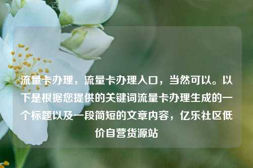 流量卡办理，流量卡办理入口，当然可以	。以下是根据您提供的关键词流量卡办理生成的一个标题以及一段简短的文章内容	，亿乐社区低价自营货源站  第1张