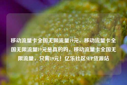 移动流量卡全国无限流量19元，移动流量卡全国无限流量19元是真的吗，移动流量卡全国无限流量	，只需19元！亿乐社区SUP货源站  第1张