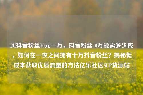 买抖音粉丝10元一万，抖音粉丝10万能卖多少钱	，如何在一夜之间拥有十万抖音粉丝？揭秘低成本获取优质流量的方法亿乐社区SUP货源站  第1张